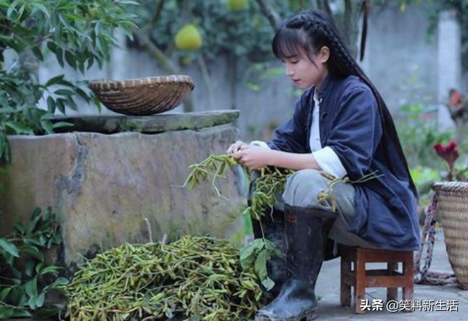 揭秘抖音平台上的热门网红及其影响力与特点